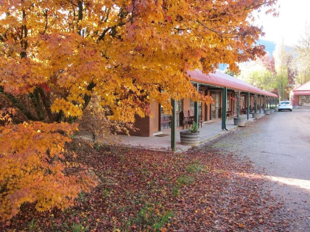 Harrietville Snowline Hotel