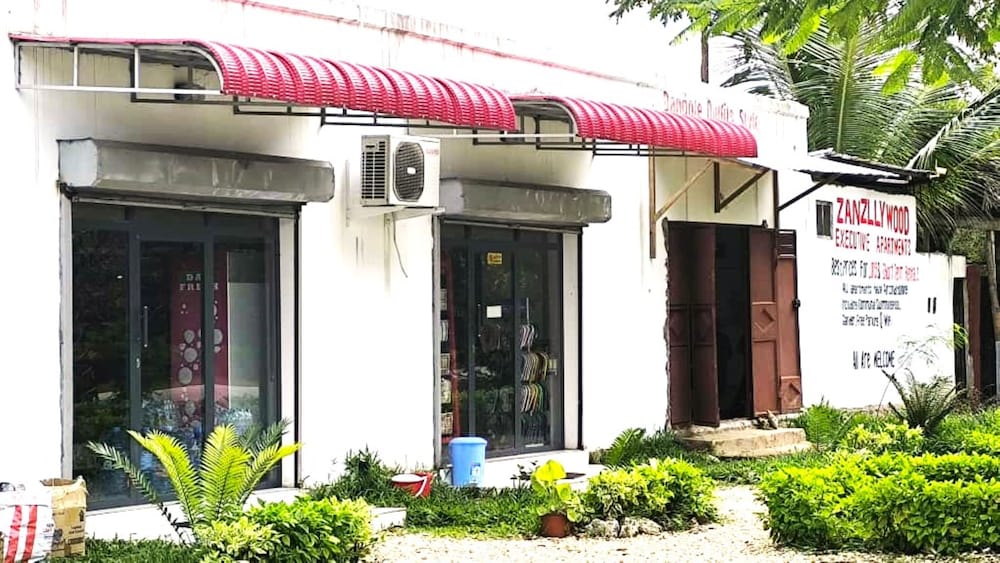 zanzllywood hotel and apartments