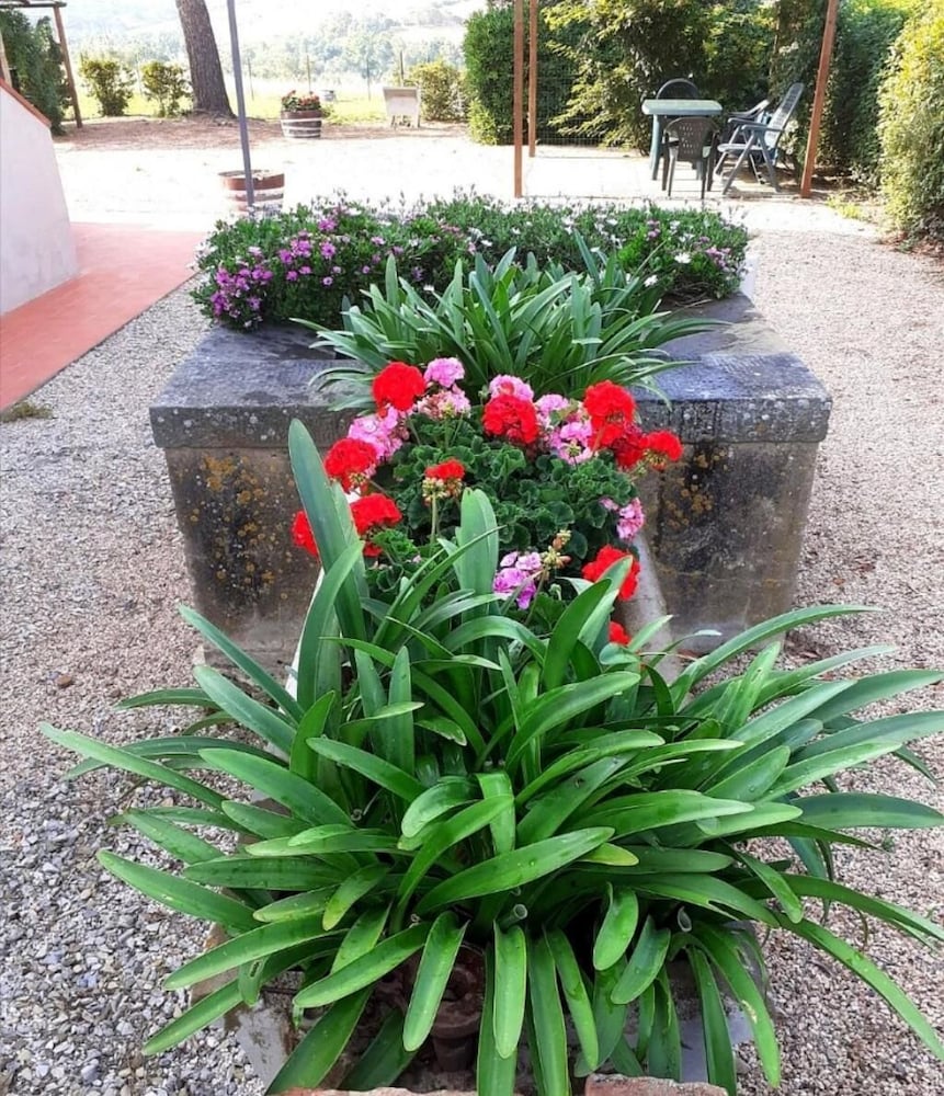 Agriturismo Boschetto di Montiano