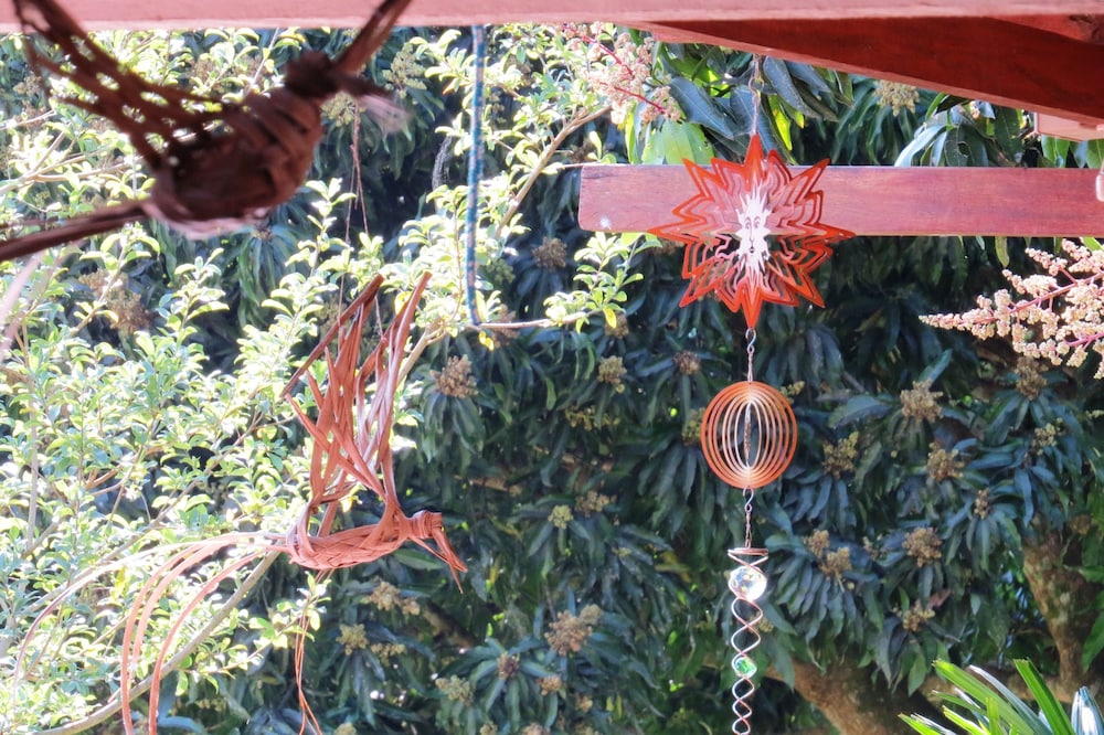 Hostel Nature