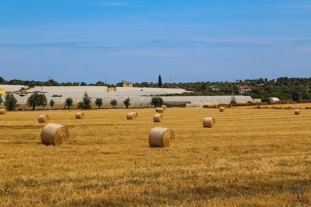 Radici Sicilian Holiday Home - C An Oasis of Relaxation in the Heart of Sicily
