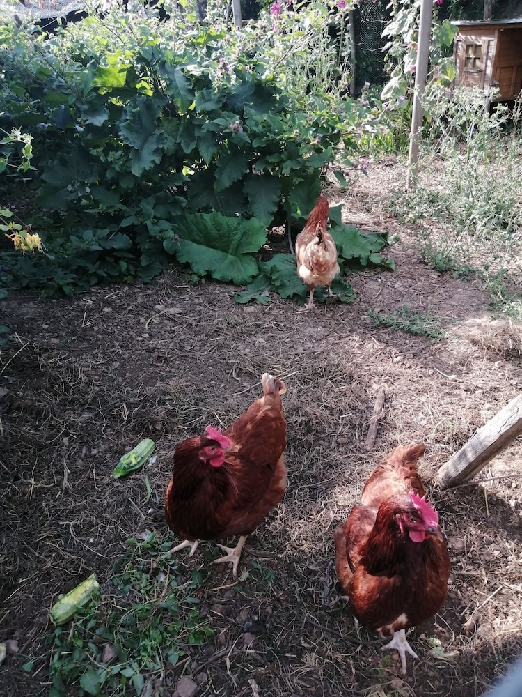 Photo 47