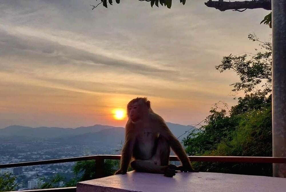 Pakta Phuket - Image 4