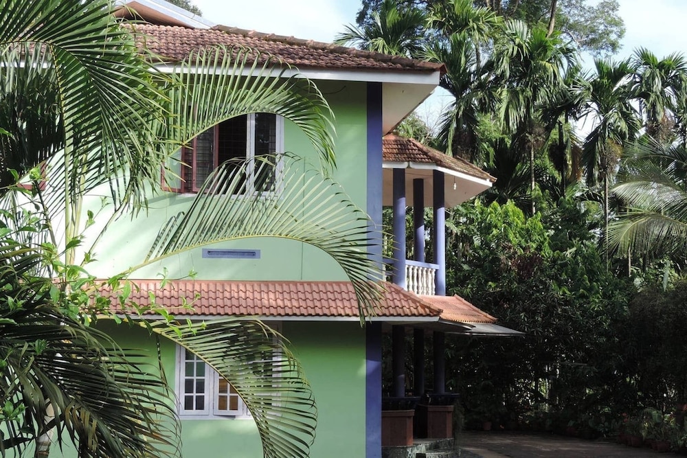 Room-wayanad Stay the Pepper Suite view 5