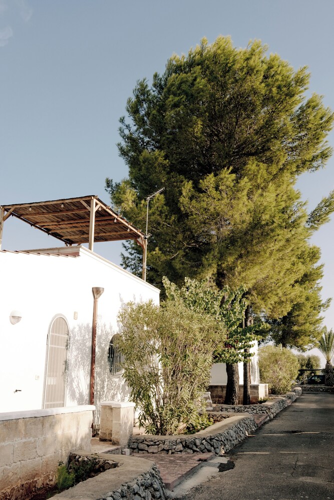 Masseria La Camardia