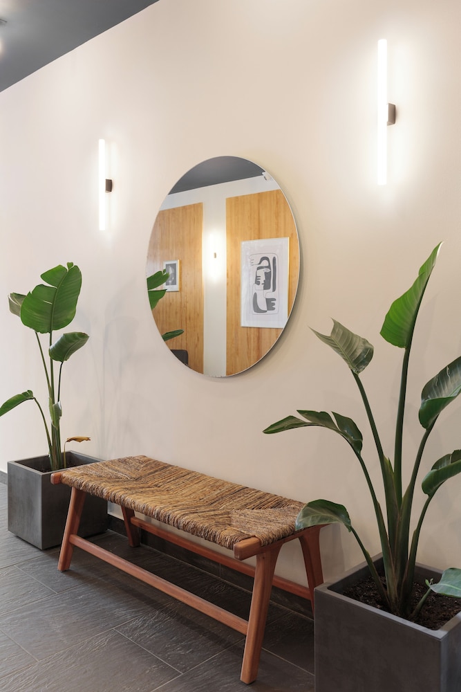 Casanova Apartments By Olala Homes
