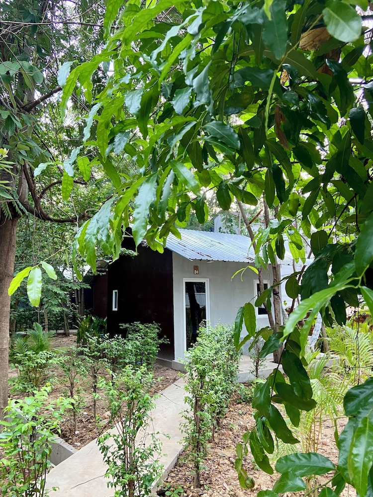 River Nest Hostel