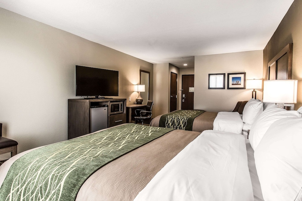 Comfort Inn & Suites Snyder