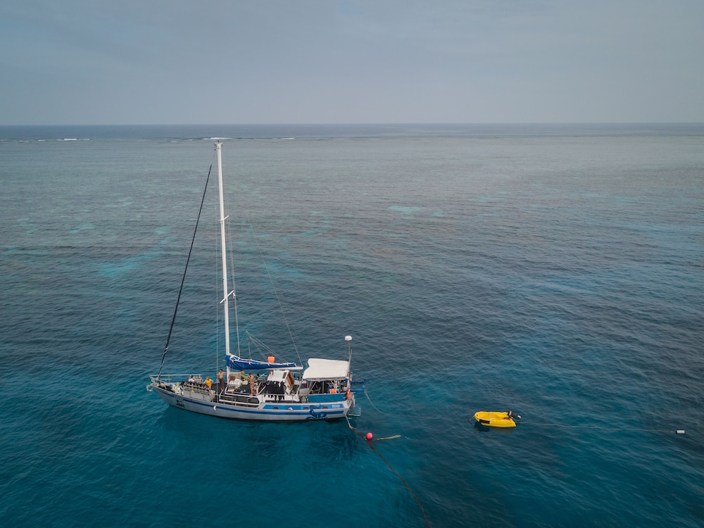 Coral Sea Dreaming Dive and Sail - Image 4