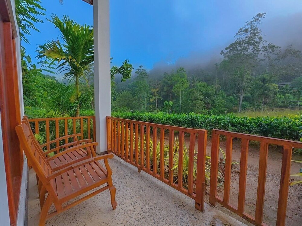 Rain Forest Vibe Sinharaja