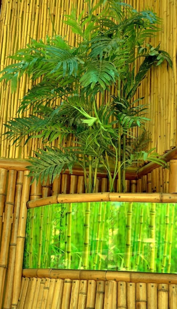 Bamboo Guest House