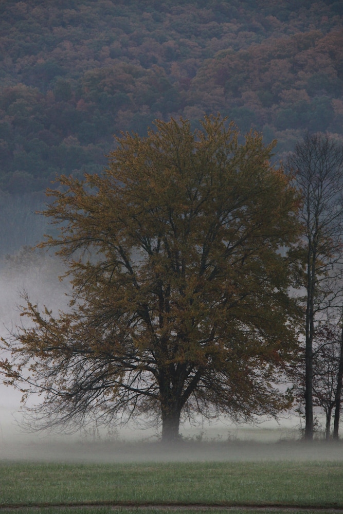 Pisgah View Ranch