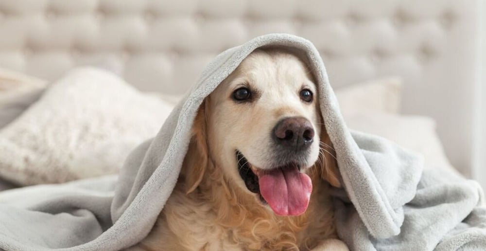 Northern Lights Modern Retreat