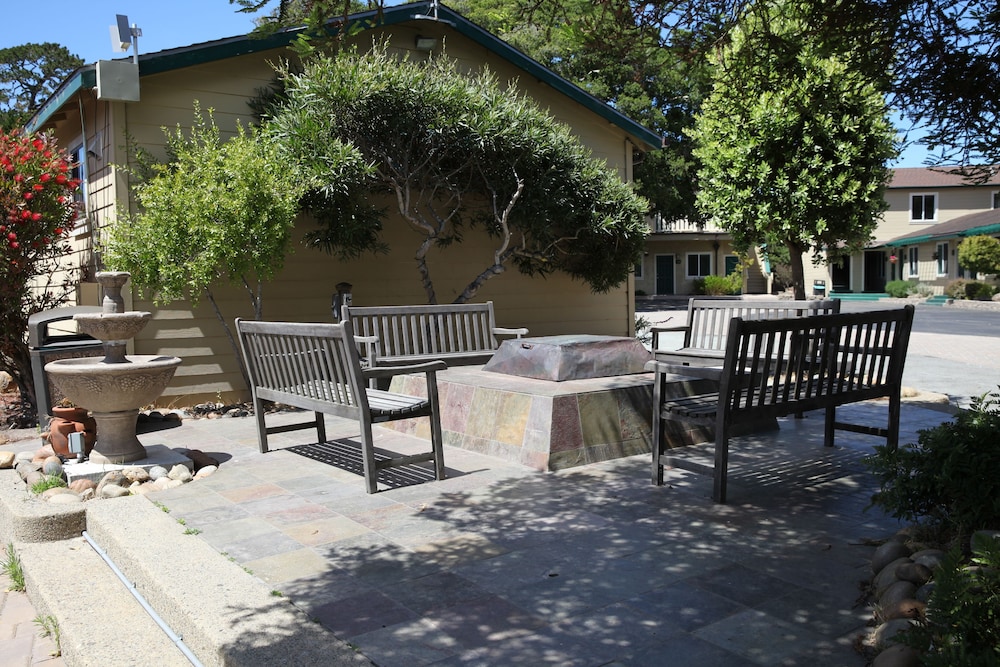 Photo 8