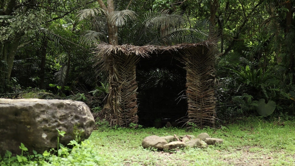 Photo 26