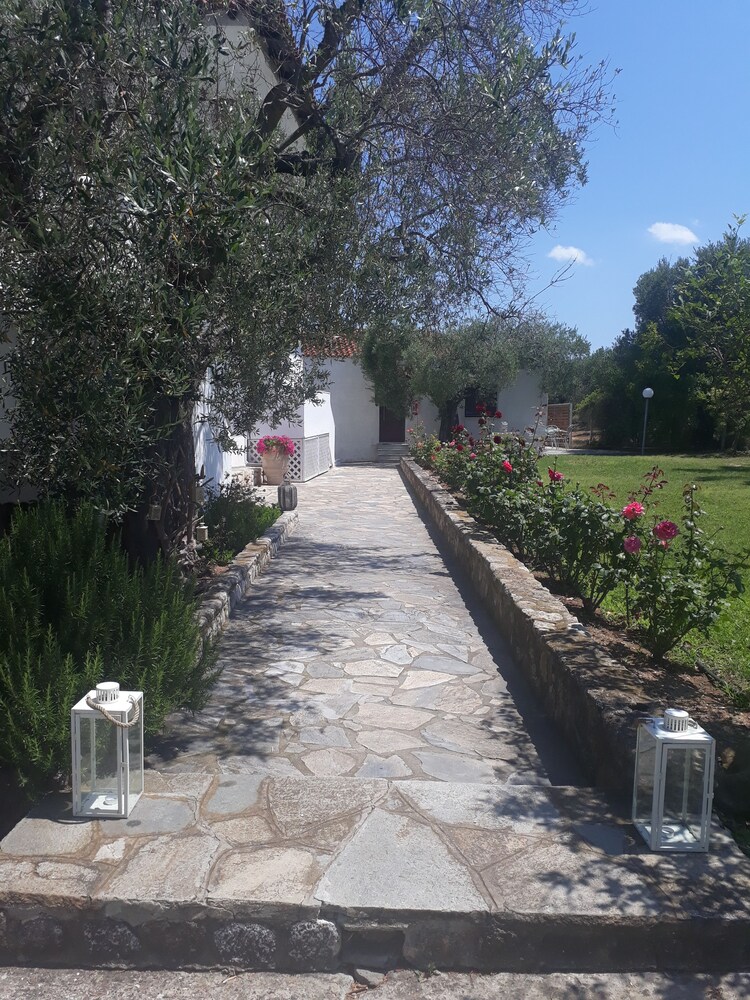 Marios house