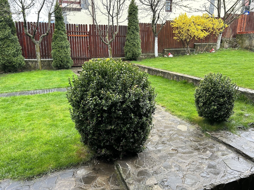 Photo 46