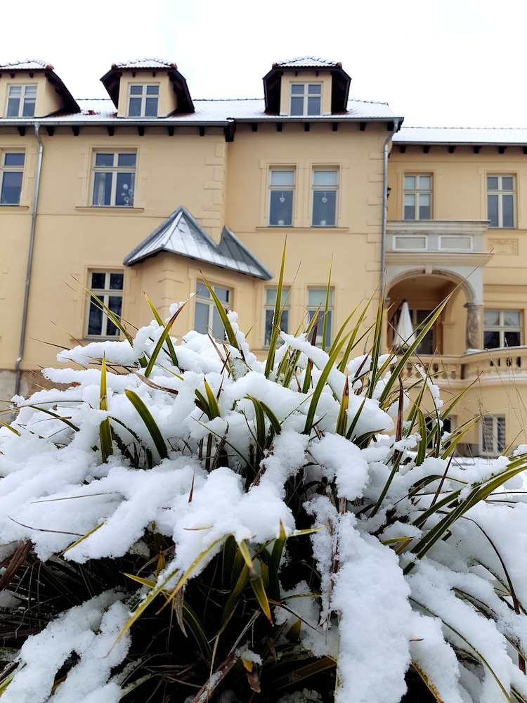Villa le Palais
