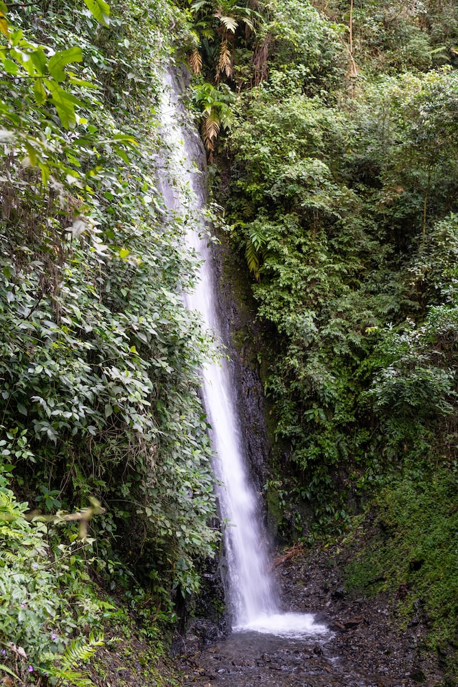 Casa de campo Los Yungas