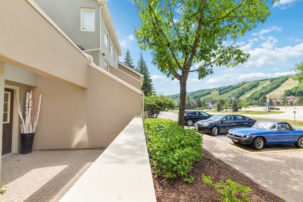 Wintergreen Condos