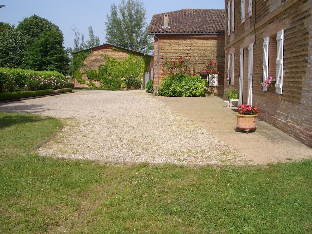 Le Platane