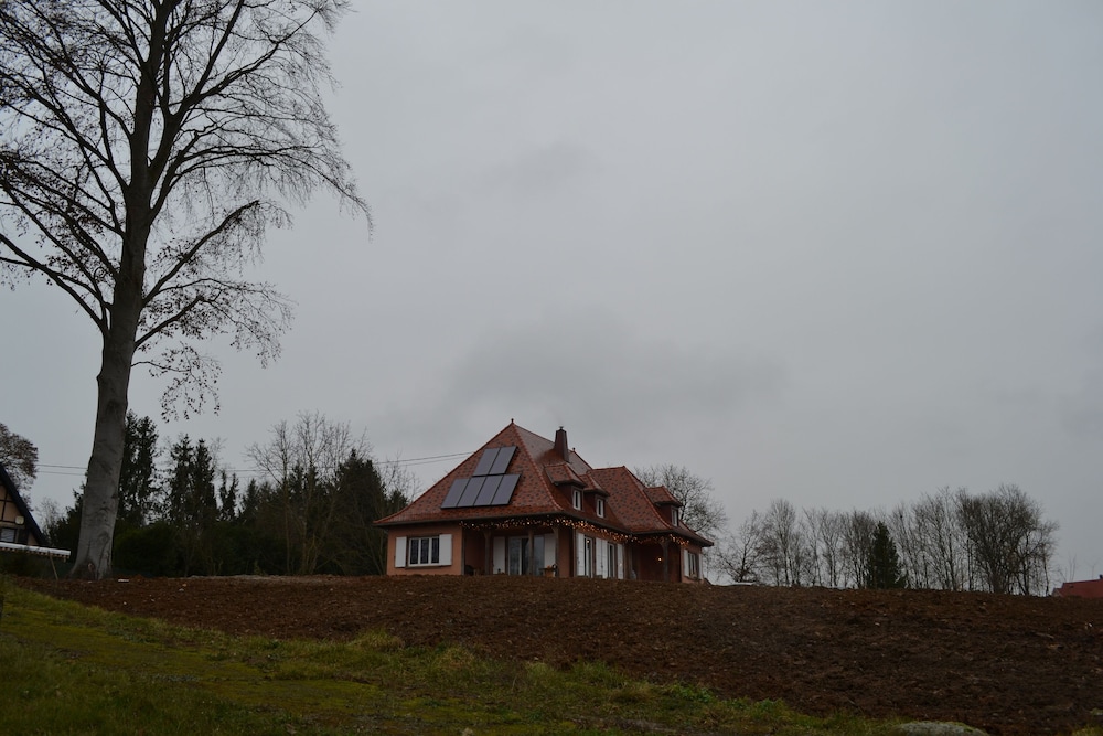 Photo 35