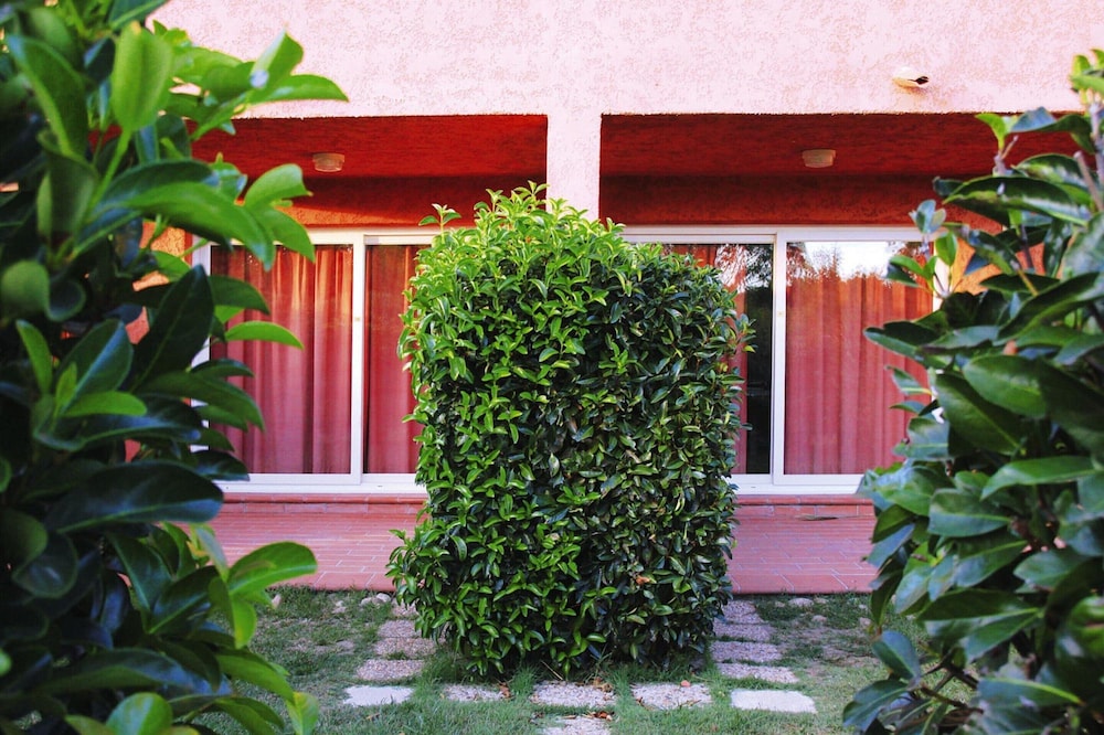 Apartment in Ghisonaccia Near Sandy Beach