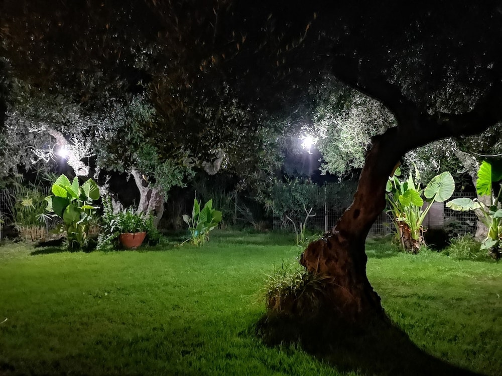 Elia Guesthouse - Kissamos