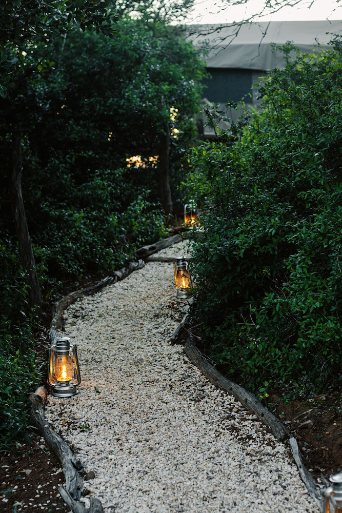 Elephants Lodge - Bellevue Forest Reserve