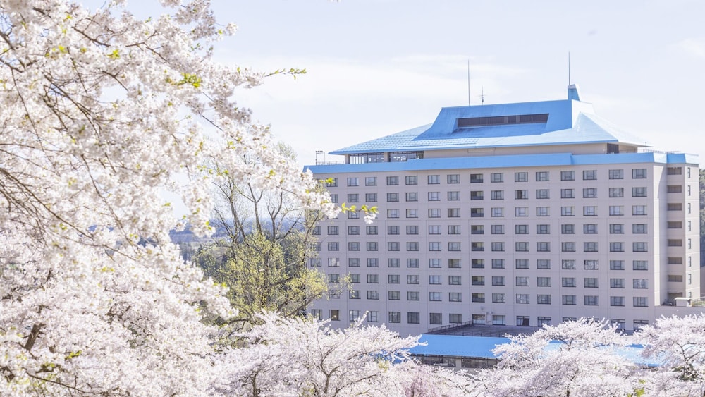 Hanamaki Onsen Hotel Koyokan 19