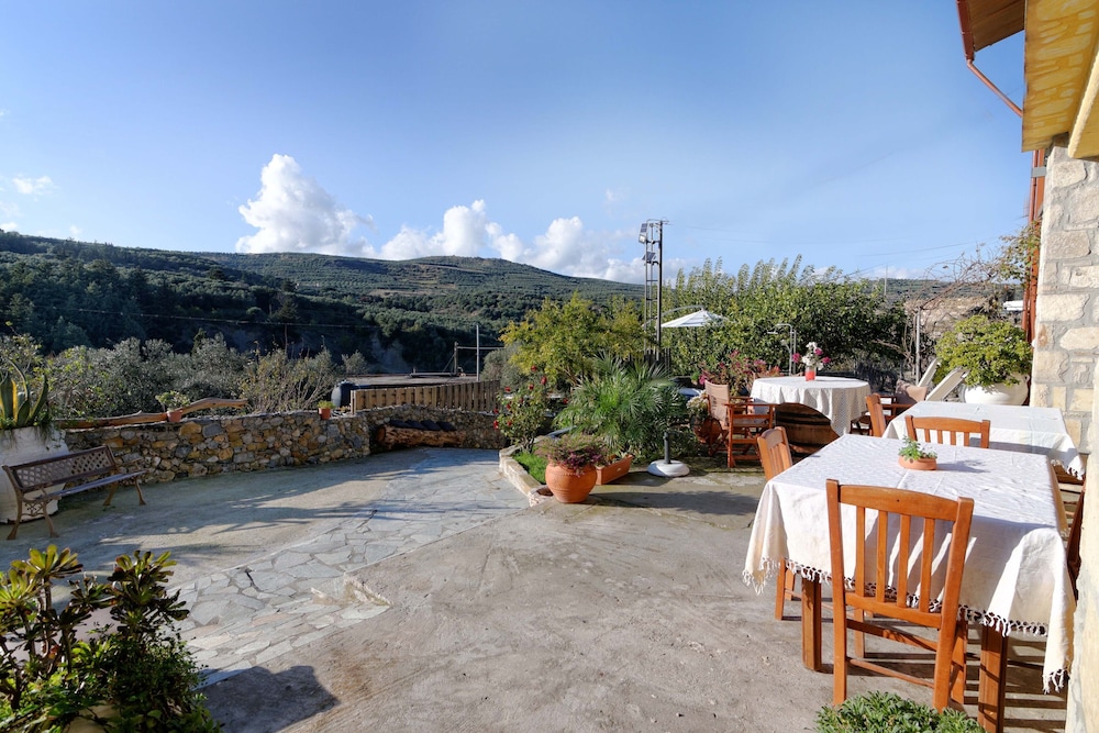 Villa Olive Tree