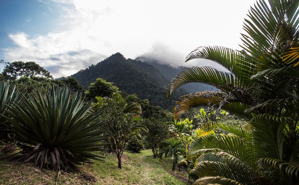 Omega Tours Adventure Company & Eco Jungle Lodge