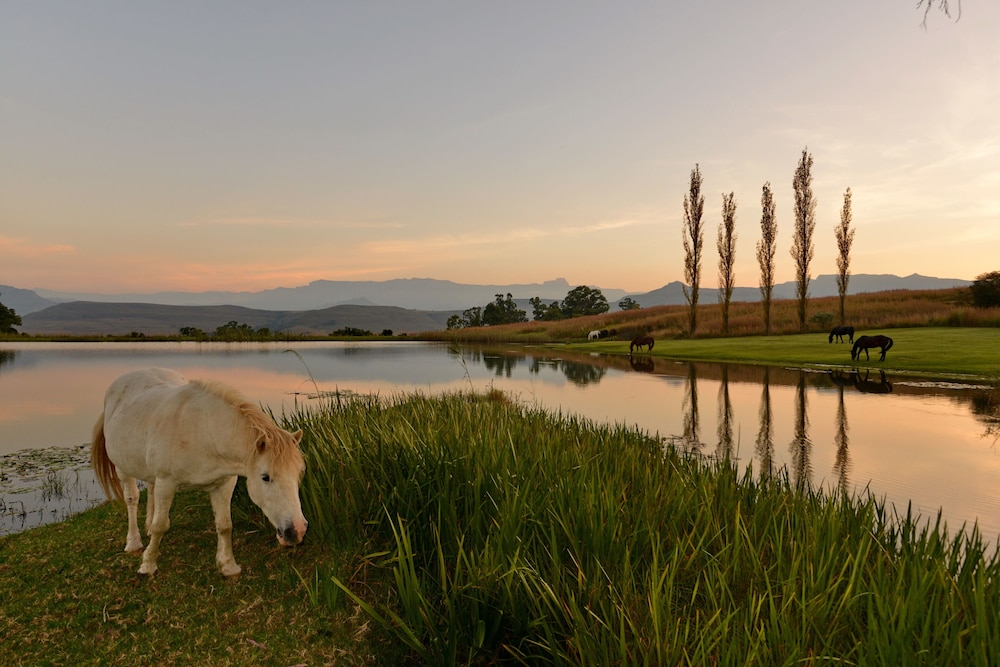 Montusi Mountain Lodge