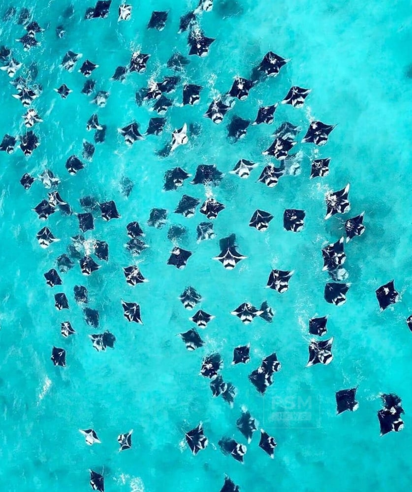 Kihaa Maldives