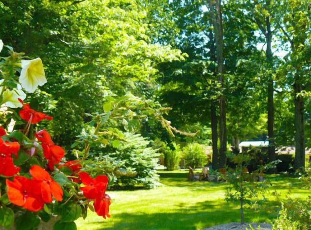 The Saugatuck Retro Resort Motel - Property Image 8