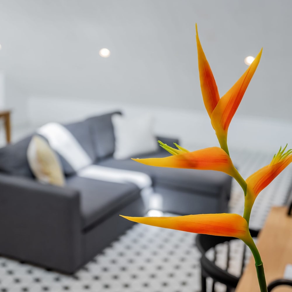 w Perfect Loft in Plaza Catedral