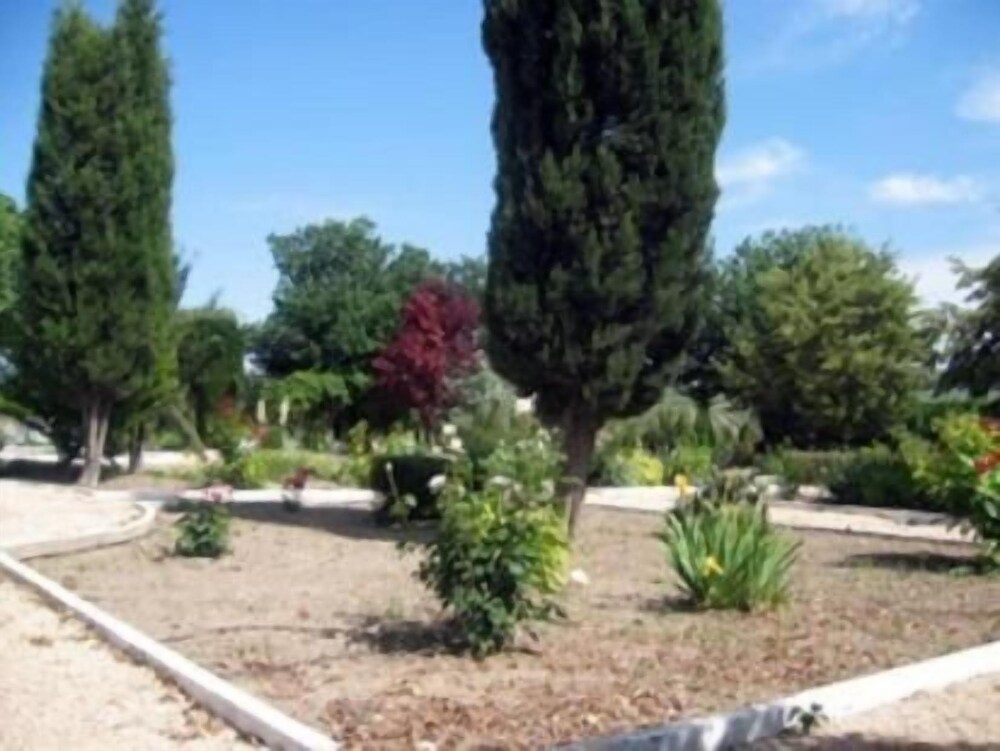 Photo 6