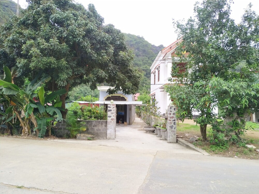 Photo 21