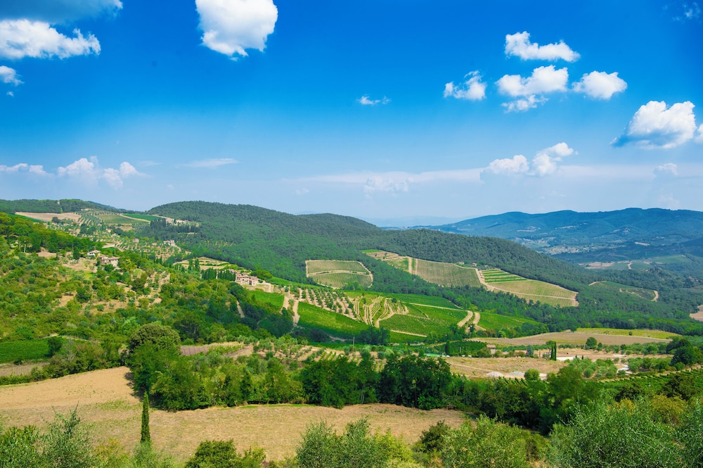 Villa Chianti With Pool Near The Vineyard photo 2