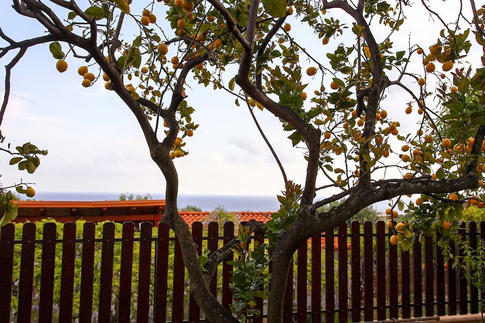 B&B Il Nido view 3