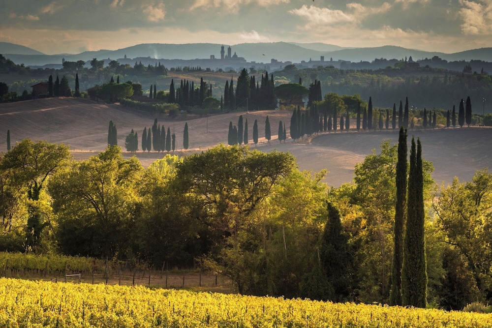 Romantic Apartment In Chianti Classico