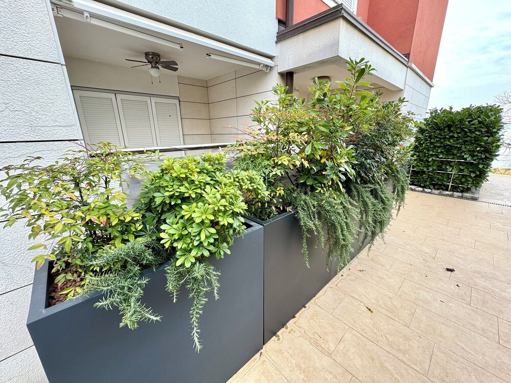 Apartment Golden Sun