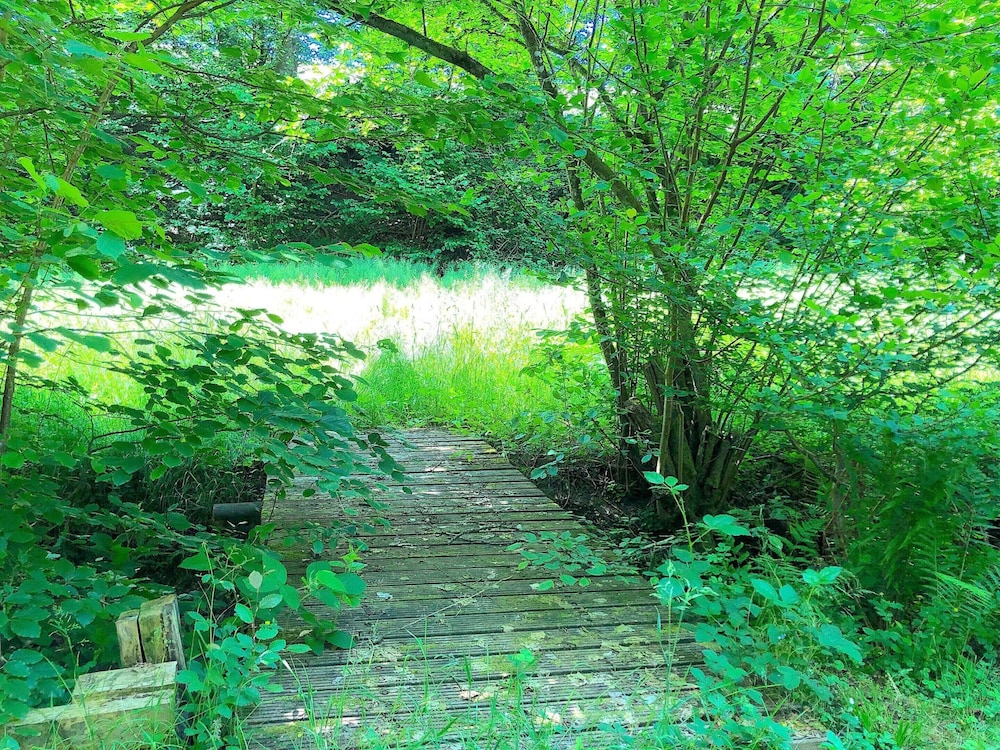 Scenic Holiday Home in Windeck With Garden