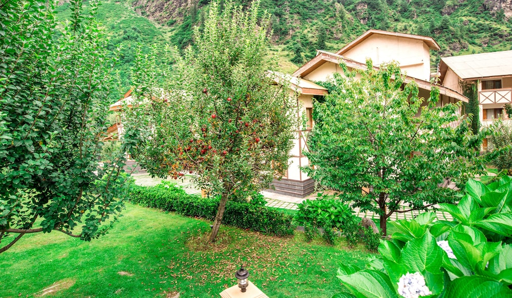 Photo 24