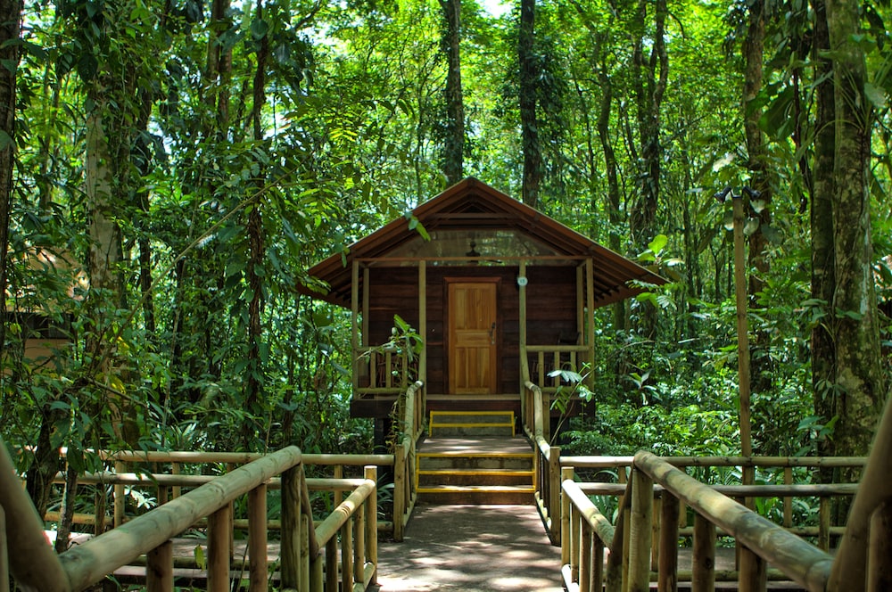 Evergreen Lodge