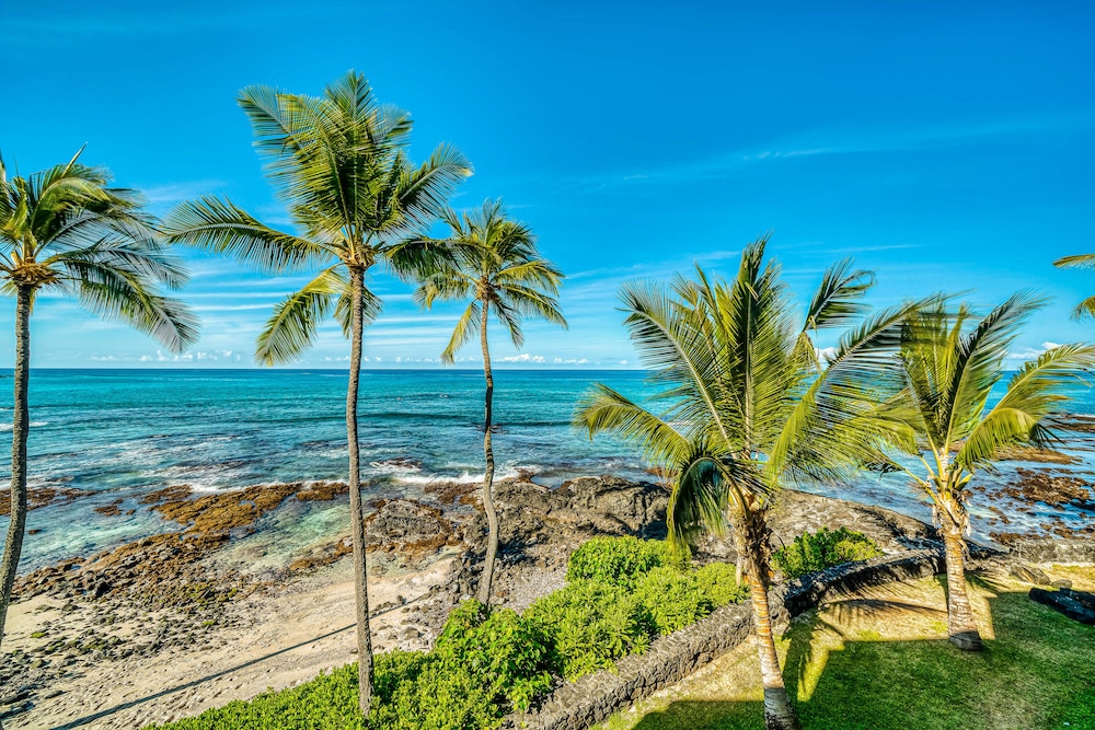 Kona Bali Kai