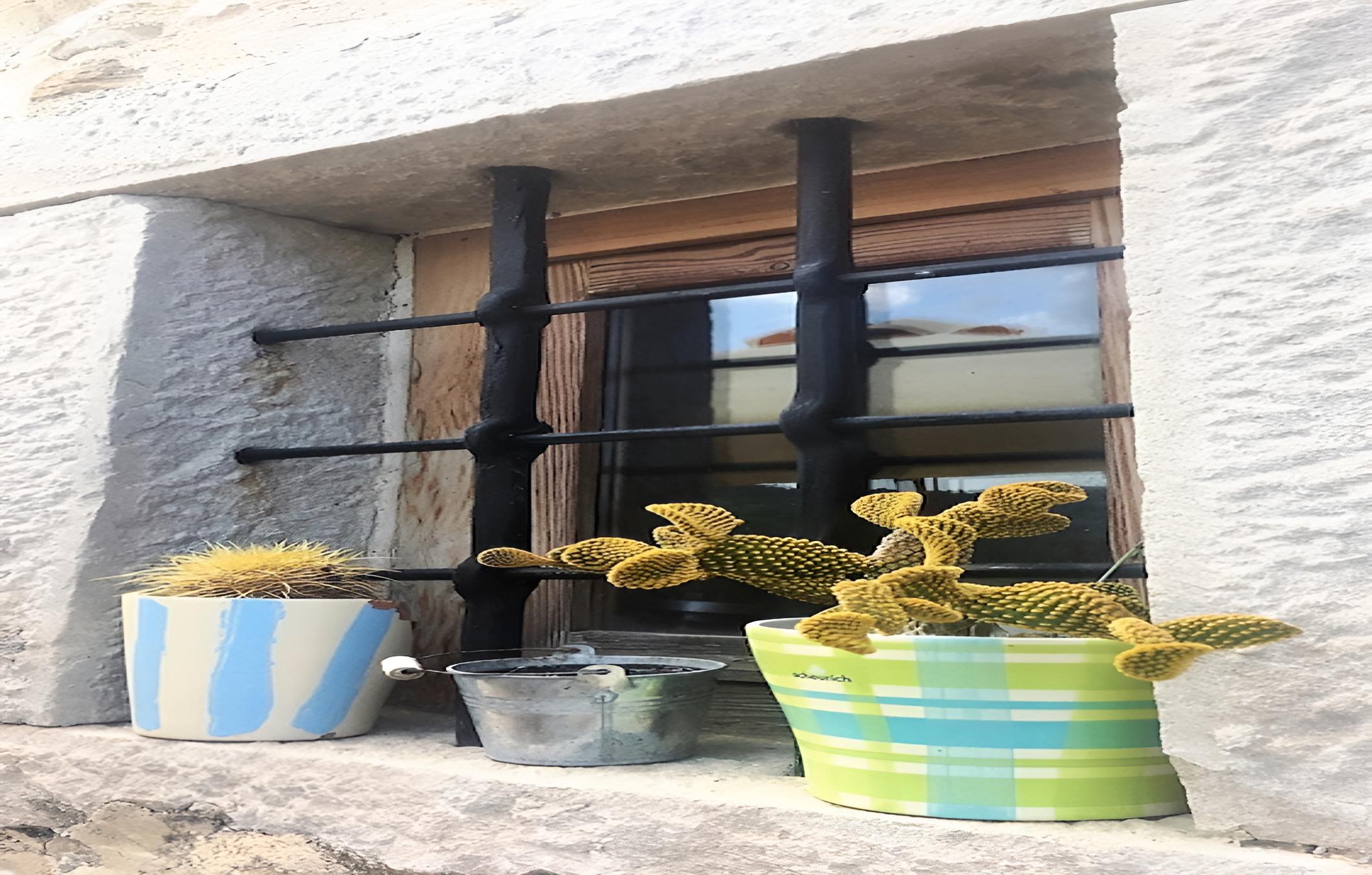 Photo 21