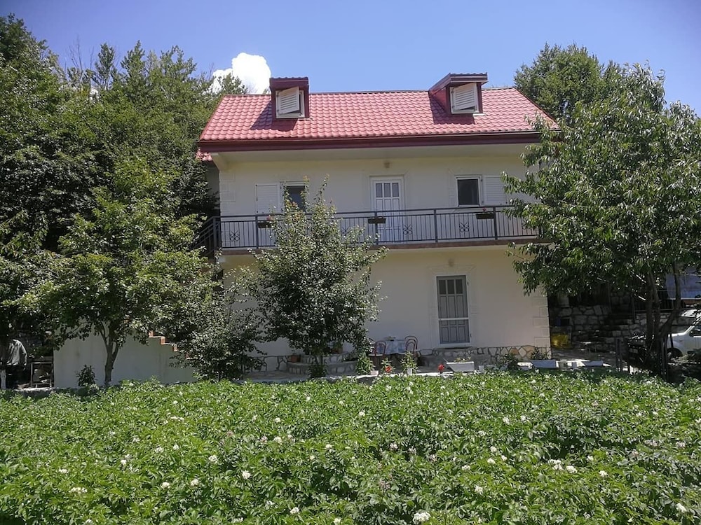 Photo 38