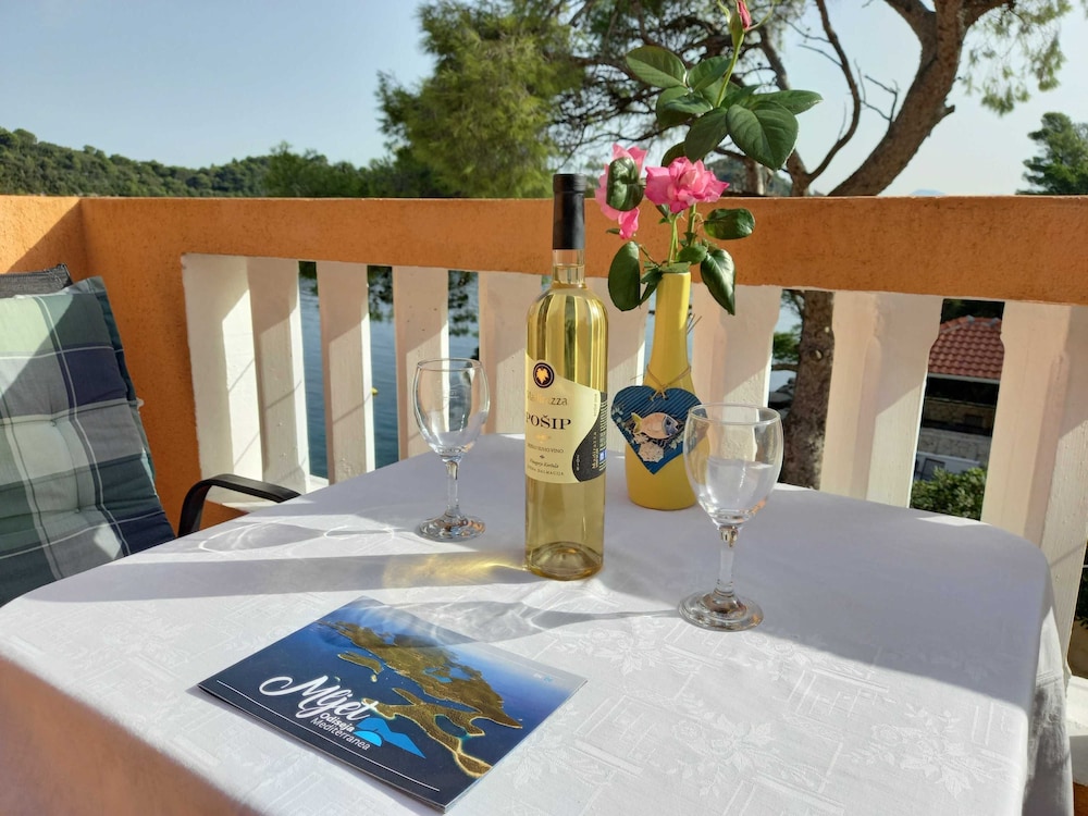 Apartments Vinko Mljet view 4