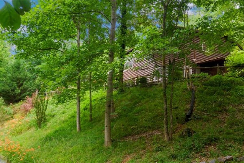 Underlook Cabin-secluded Cabin With Wifi Large Deck Gas Grill Wood Fireplace view 5